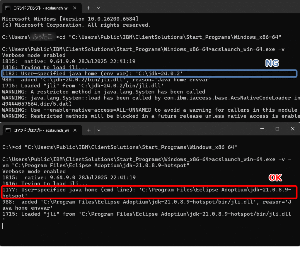 acslaunch_win-64.exe -v の出力例